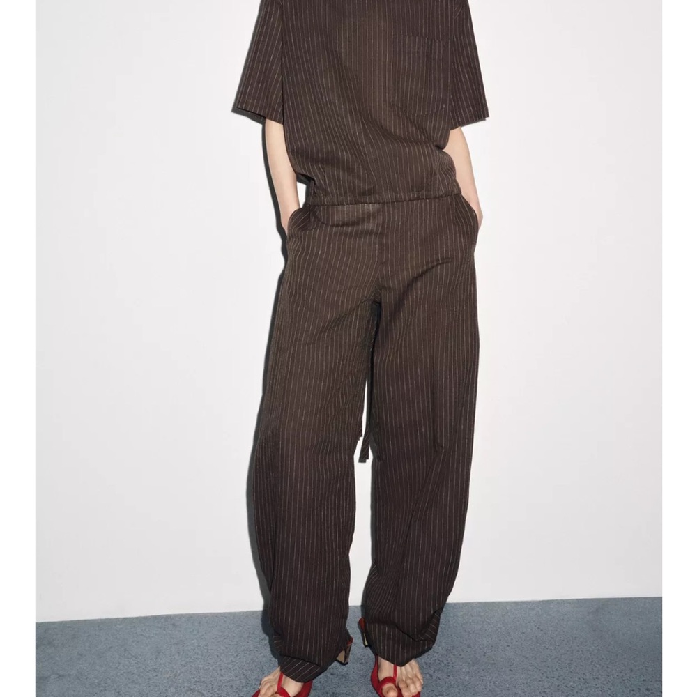 Zara Brown Pinstripe Women's Pants